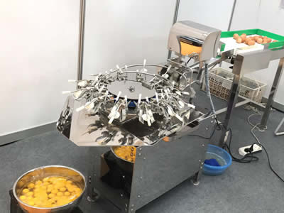 全自動(dòng)磕蛋機(jī)使用的注意事項(xiàng)